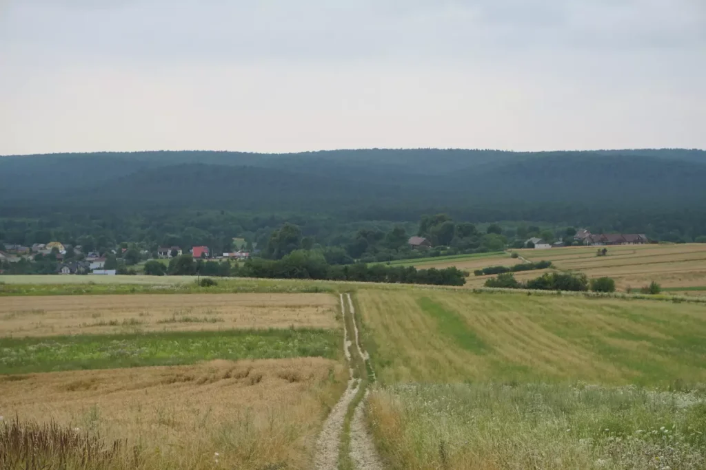 Agroturystyka Obrocz – noclegi na Roztoczu blisko natury