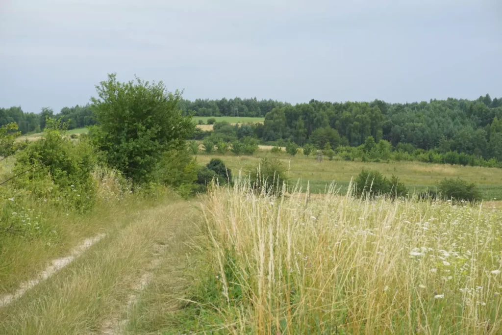 Gospodarstwo agroturystyczne blisko Zwierzyńca z malowniczym widokiem na Roztocze, idealne na urlop na wsi.