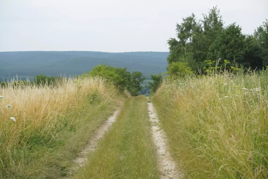 Komfortowe noclegi w agroturystyce Obrocz na Roztoczu, idealne miejsce na wypoczynek blisko natury.