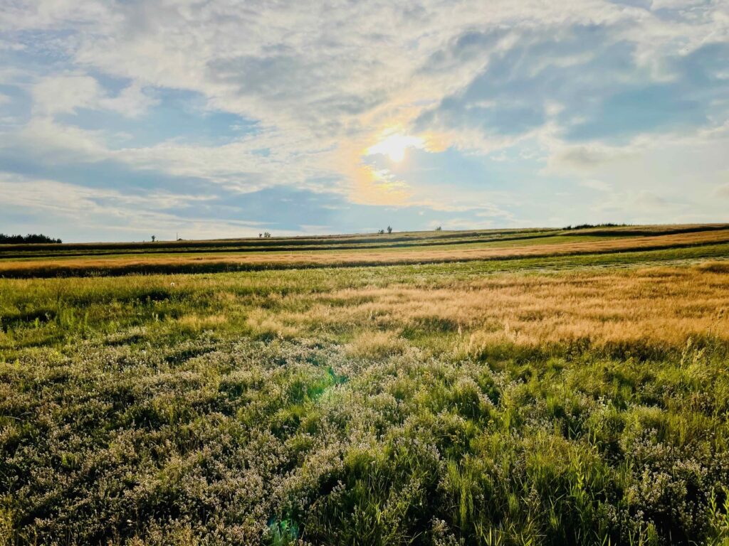 Noclegi Obrocz Noclegi Obrocz