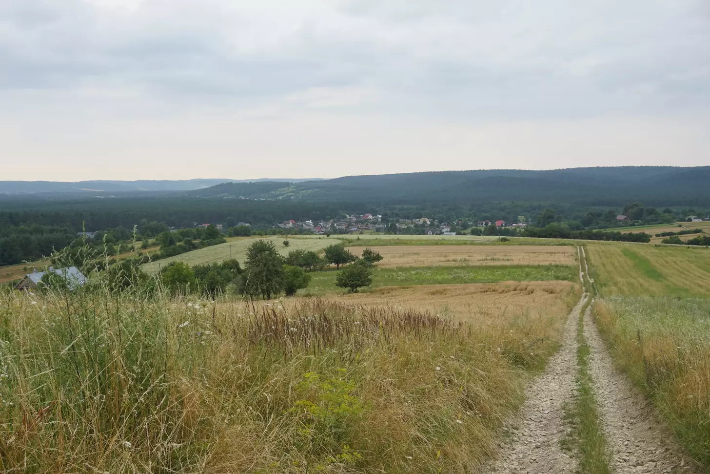Najciekawsze letnie festiwale i wydarzenia na Roztoczu