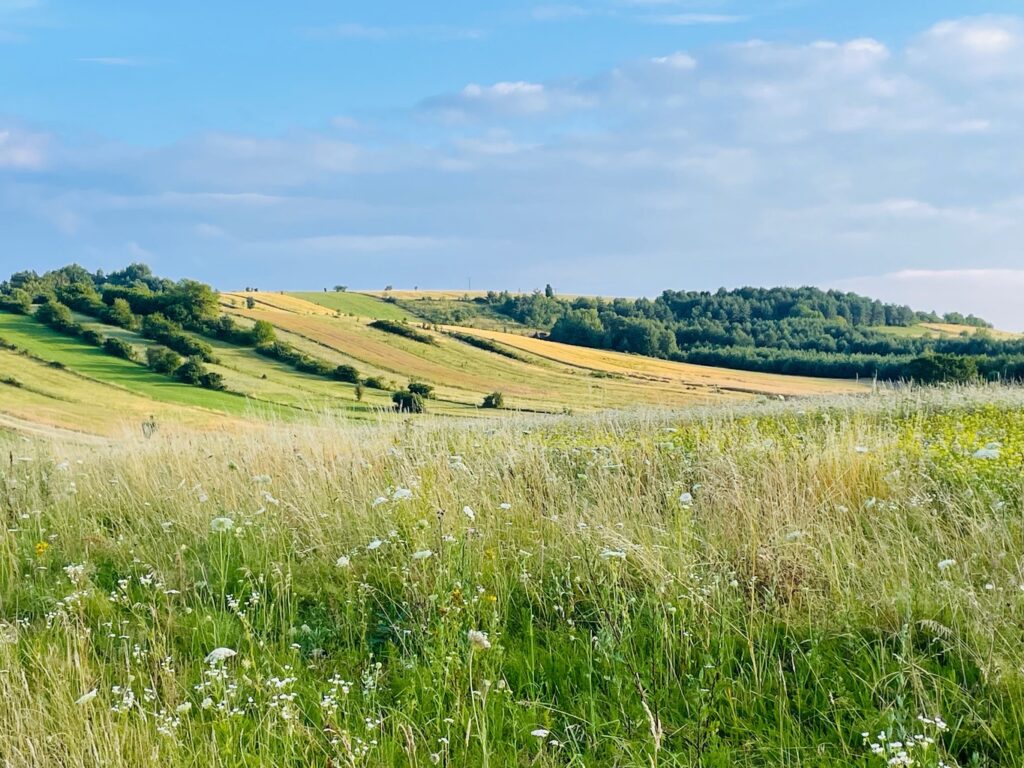Noclegi w gospodarstwie agroturystycznym Roztocze
