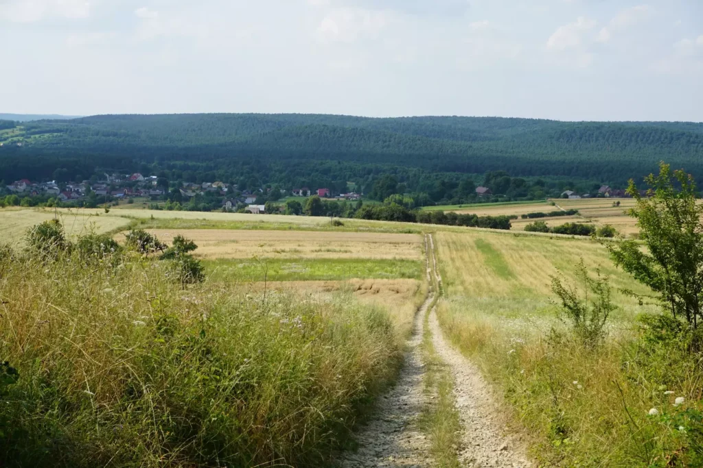 Piękne szlaki turystyczne Roztocza