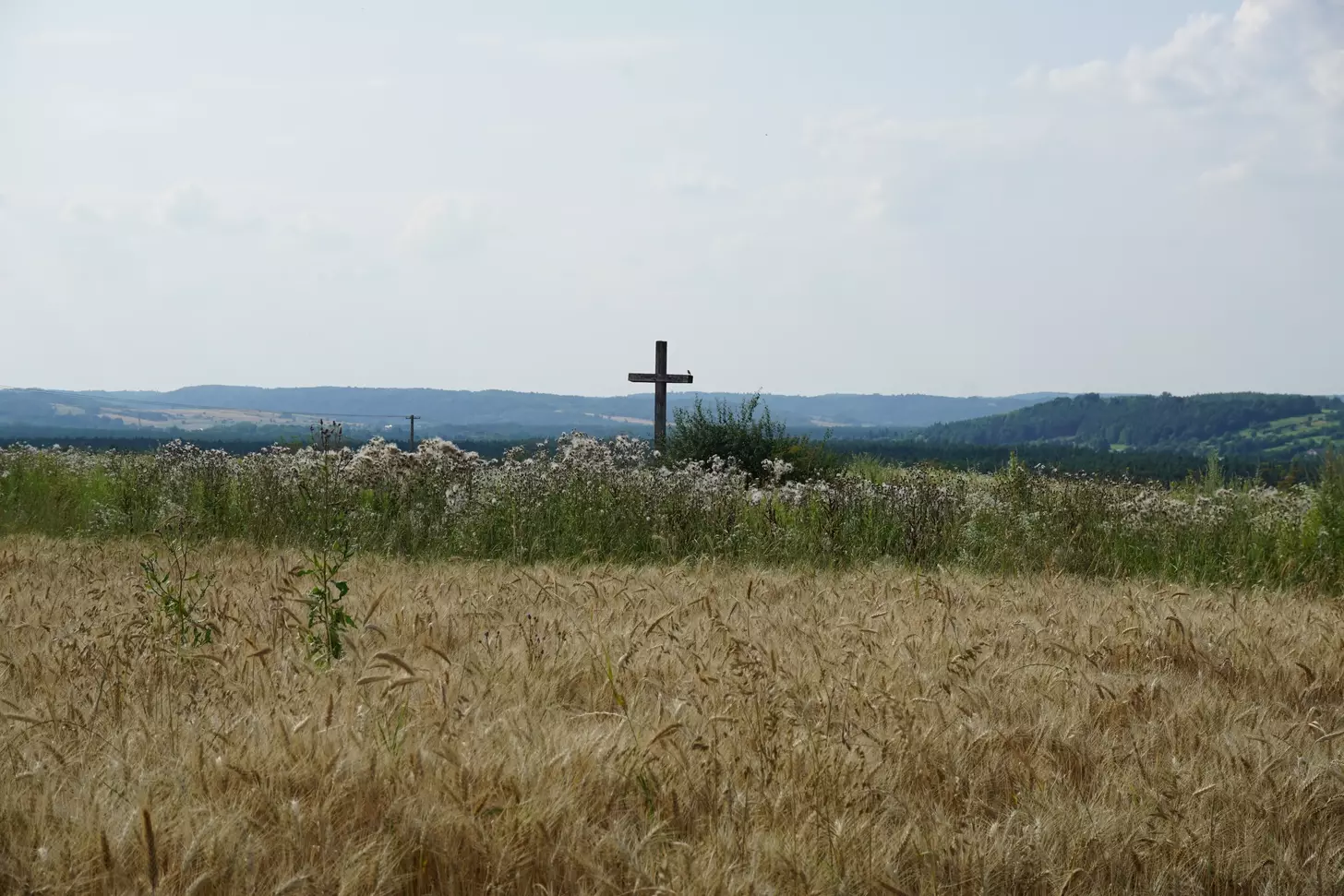 Gdzie na Roztoczu można kąpać się w jeziorach i rzekach?