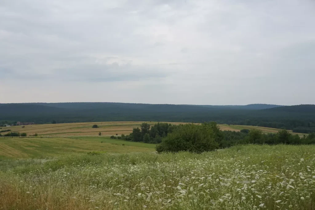 Tanie pokoje w agroturystyce Roztocze