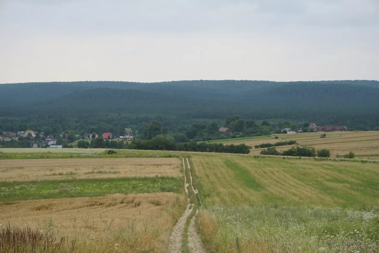 Najciekawsze letnie festiwale i wydarzenia na Roztoczu